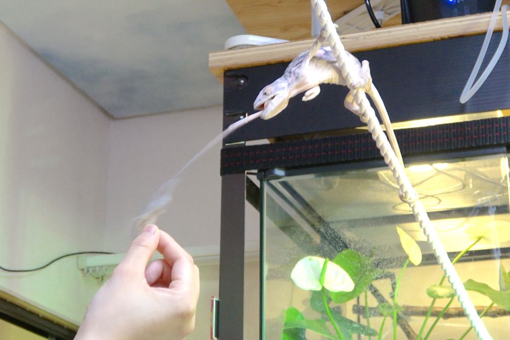 （写真提供：山村さん）