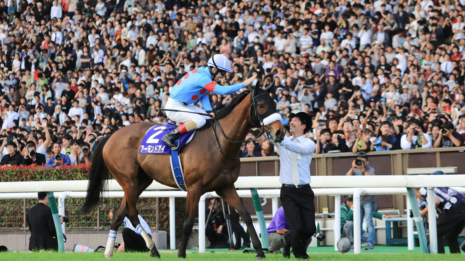 最強牝馬 アーモンドアイ がもつ圧倒的な力 今さら聞けない競馬のキホン 東洋経済オンライン 経済ニュースの新基準 最強牝馬 アーモンドアイ がもつ圧倒的な力 今さら聞けない競馬のキホン 東洋経済オンライン 経済ニュースの新基準