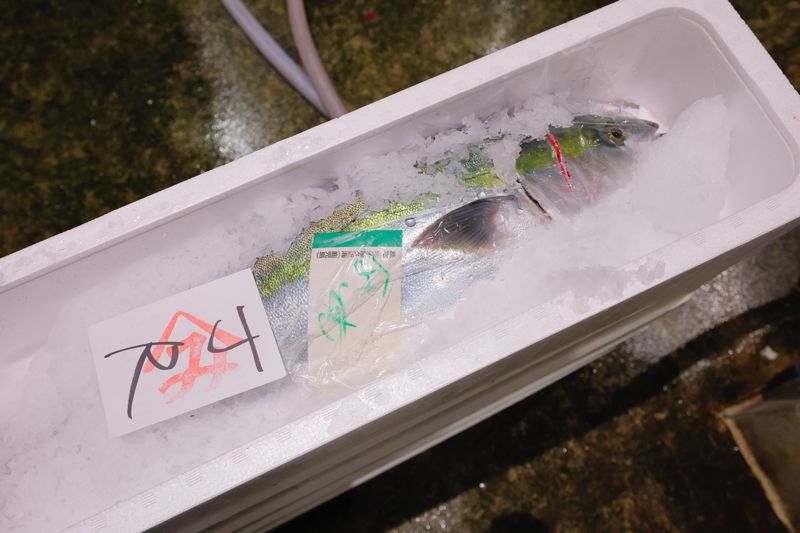 新幹線荷物輸送用に競り落とされたブリ。JRの文字が見える（筆者撮影）