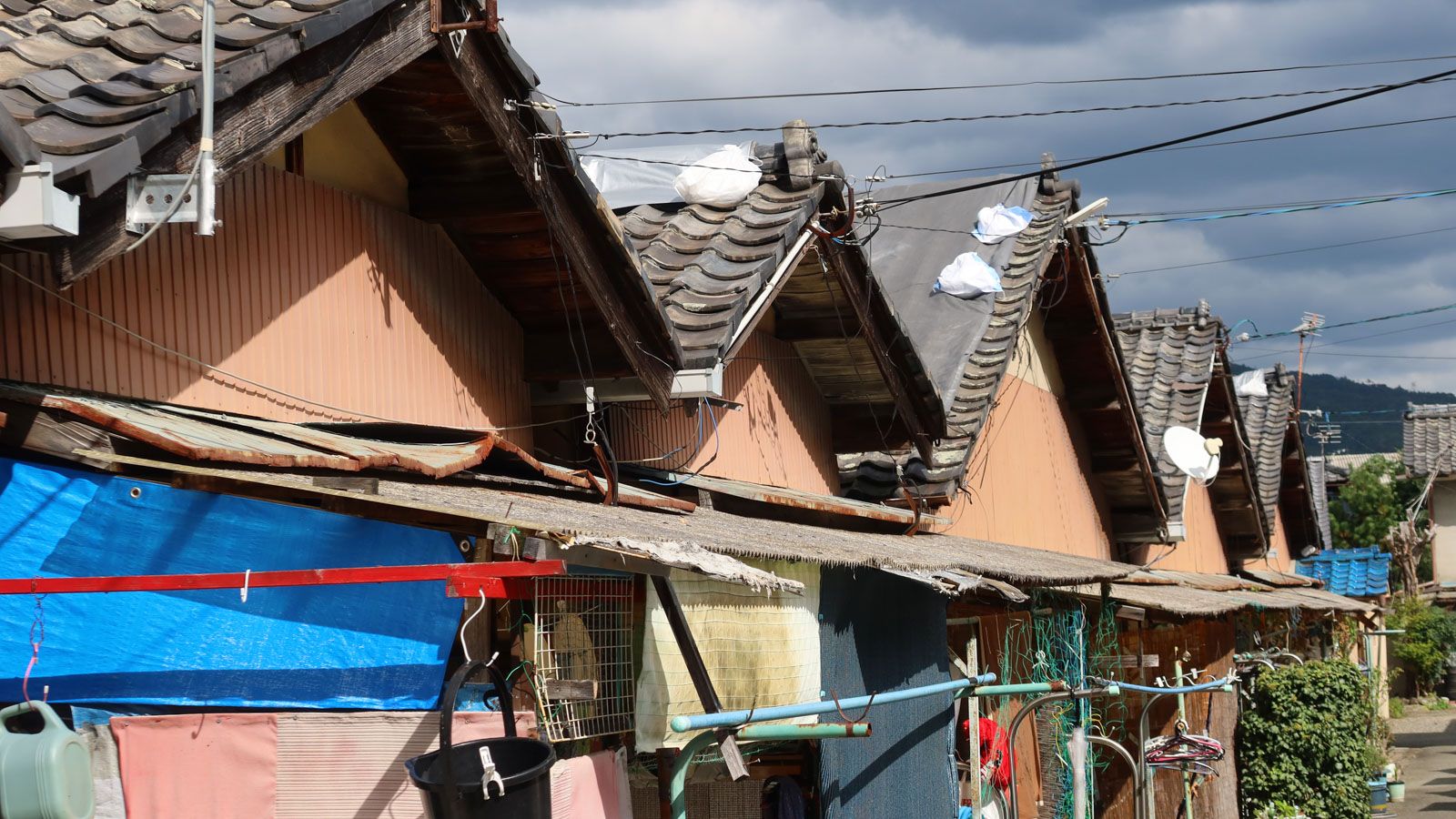 現在のハムレット