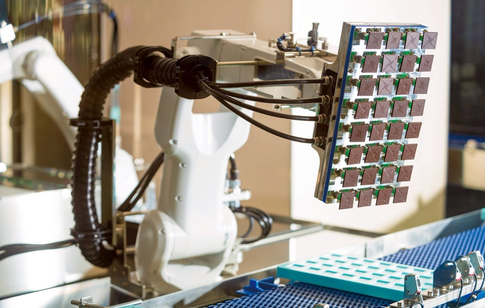 チョコレートの製造工程を間近で見ることができる(写真:ロイズコンフェクト提供)