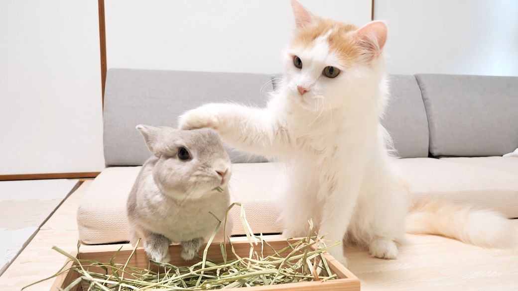 （写真提供：やすさん）