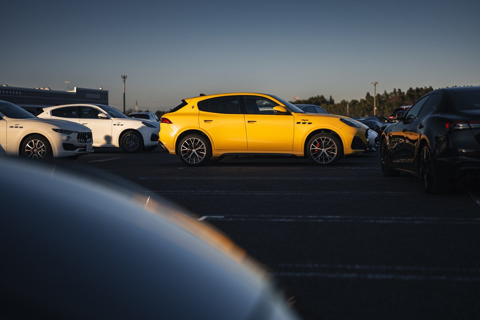 写真：Maserati Japan