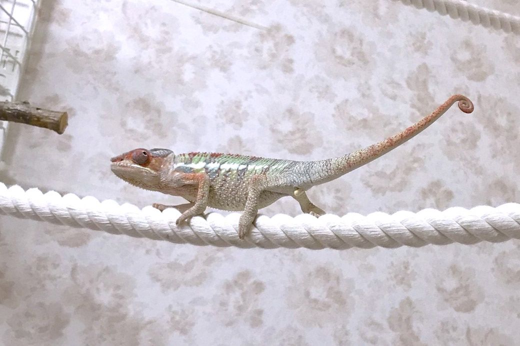 （写真：山村さん提供）