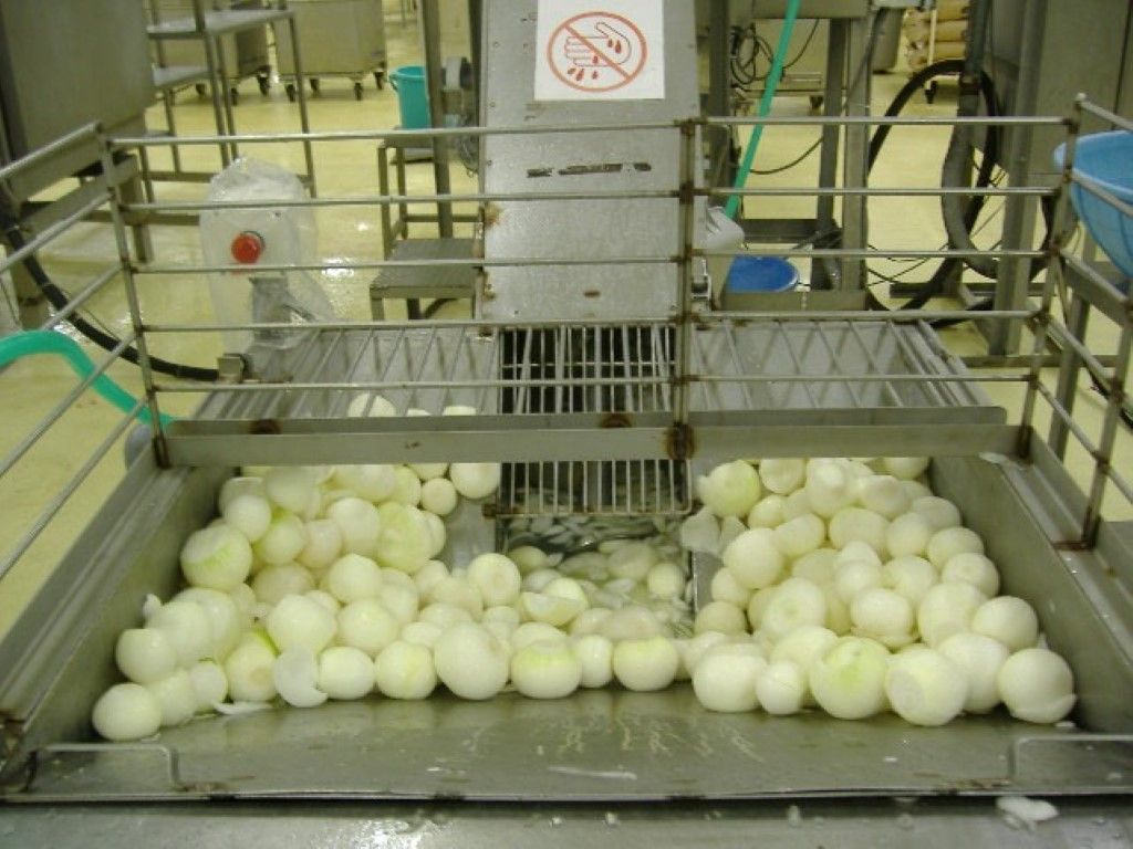大量の玉ねぎ（写真：石井食品提供）