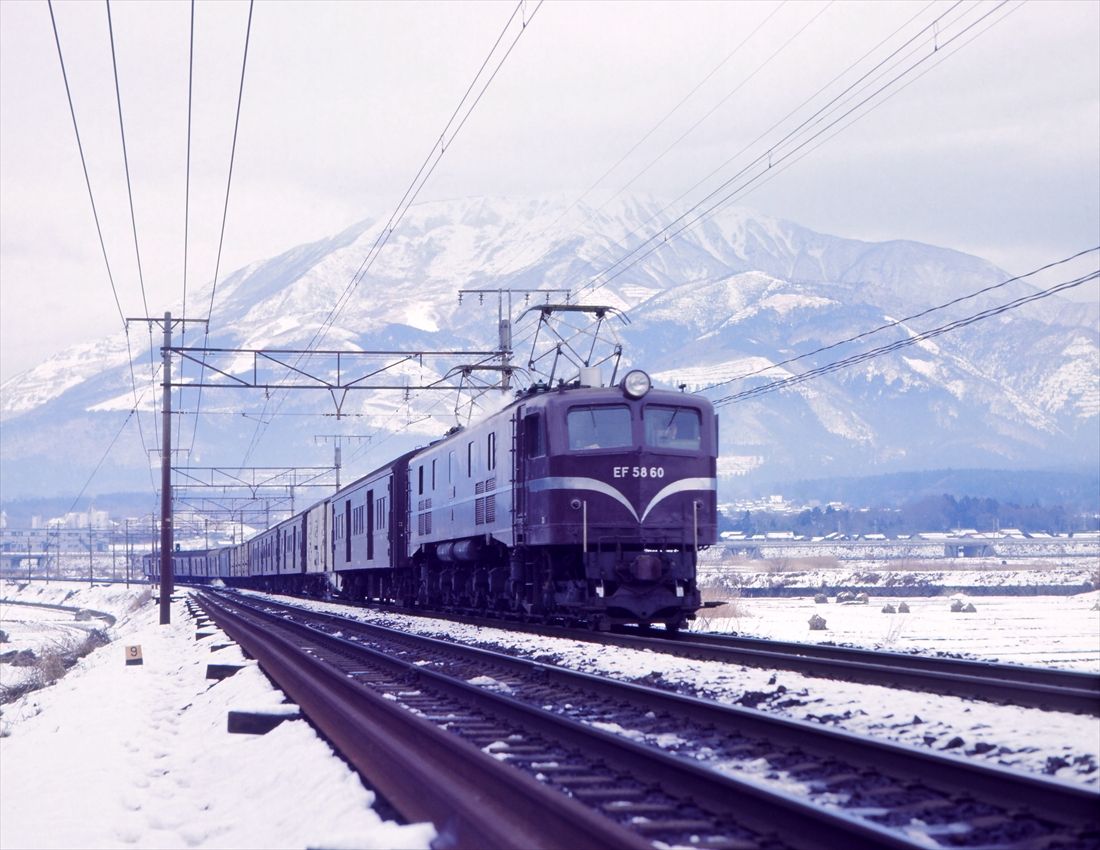 雪の伊吹山をバックにお召列車指定機、EF58形60号機の牽引する荷物列車が走る（撮影：南正時）