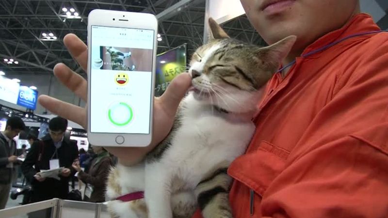 本当 ついに 猫の気持ち がわかるように スマホ ガジェット 東洋経済オンライン 経済ニュースの新基準