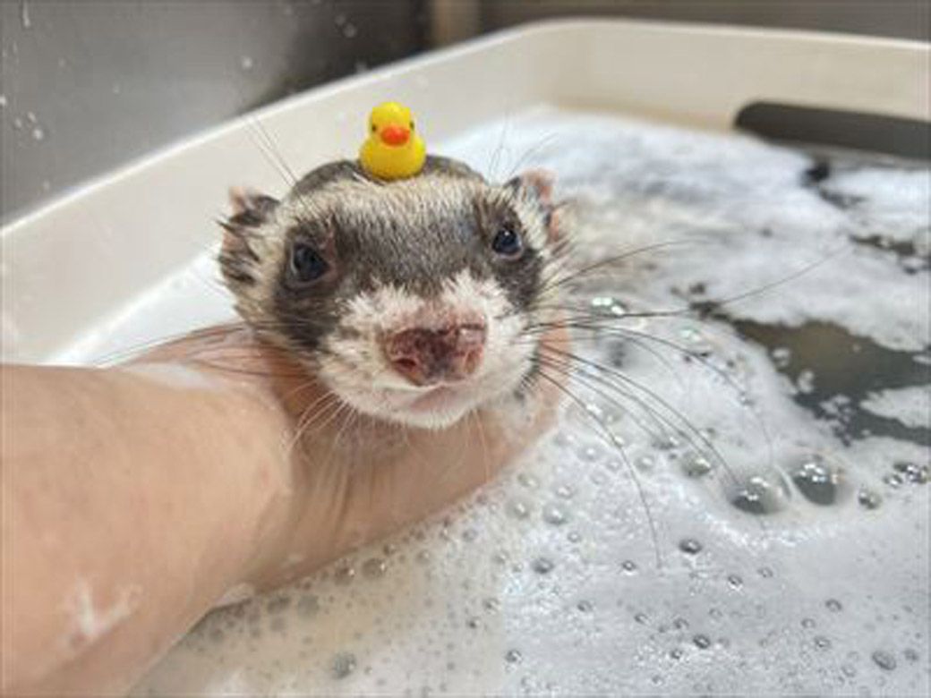 （写真提供：ミキさん）