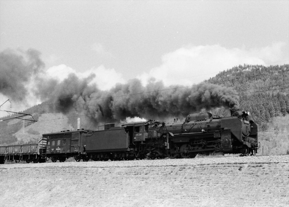 電化間近の奥羽本線矢立峠を行くD51形牽引の貨物列車＝1971年（撮影：南正時）