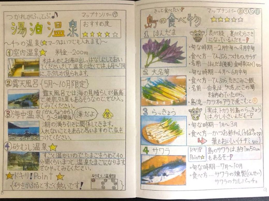 片野田家の双子の長男・楽君、次男・奏君で共同制作した「悪石島のガイドブック」。島を歩き、島民に話を聞きながら制作された（筆者撮影）