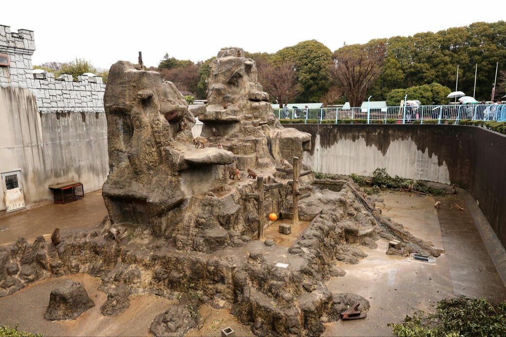 市川市動植物園　パンチくん
