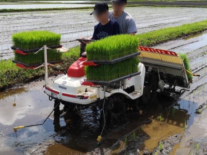 息子と田植え作業を行うちーとんさん（写真：ちーとんさん提供）