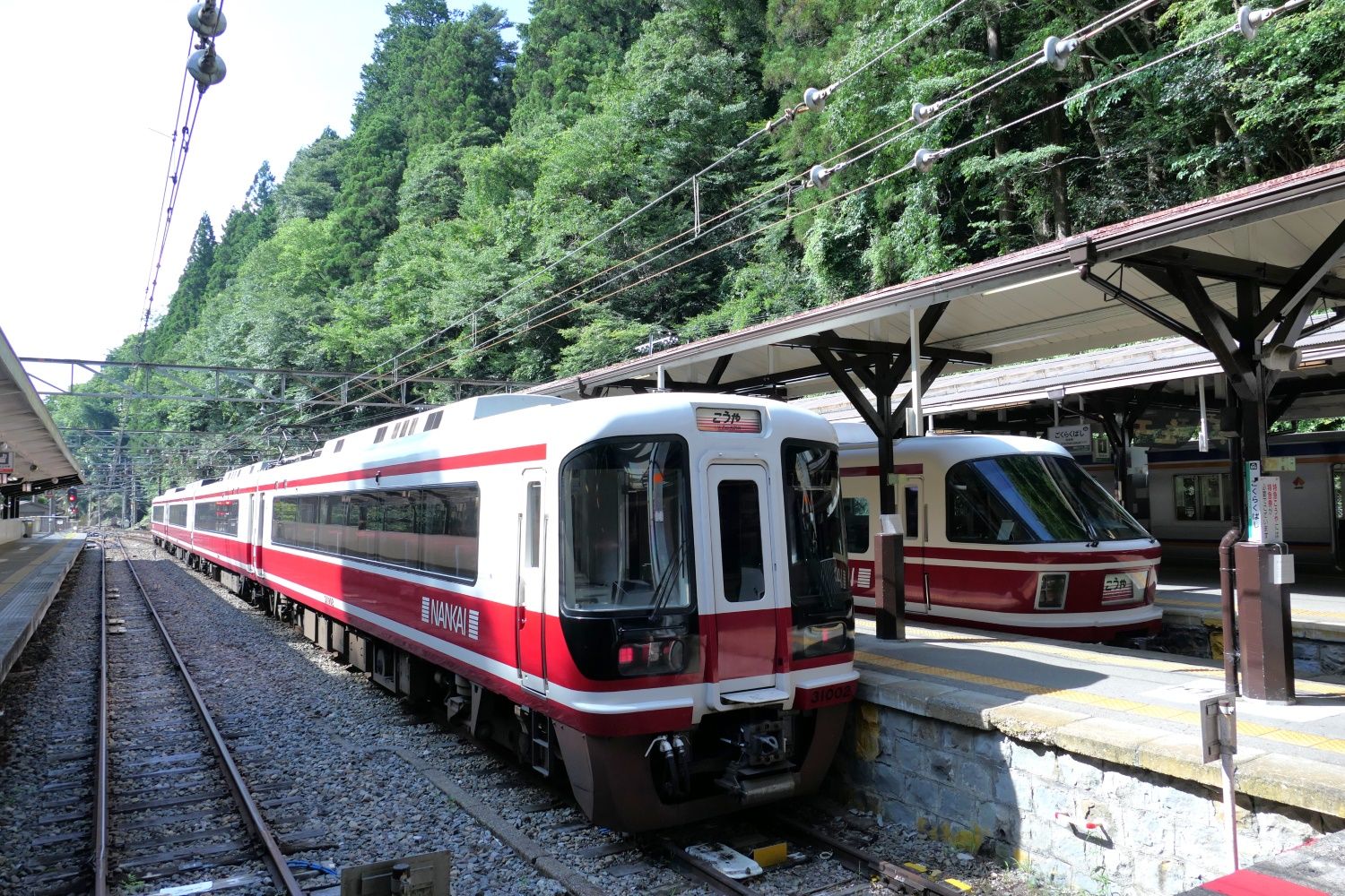 極楽橋駅で並んだ2本の特急「こうや」。手前が31000系（記者撮影）