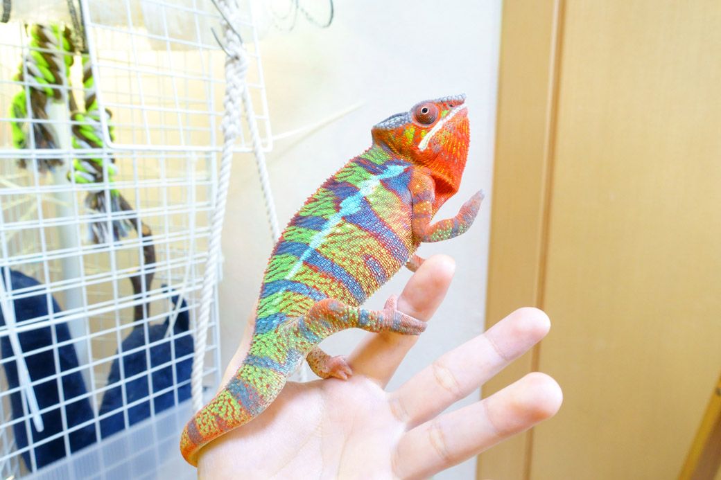 （写真：山村さん提供）