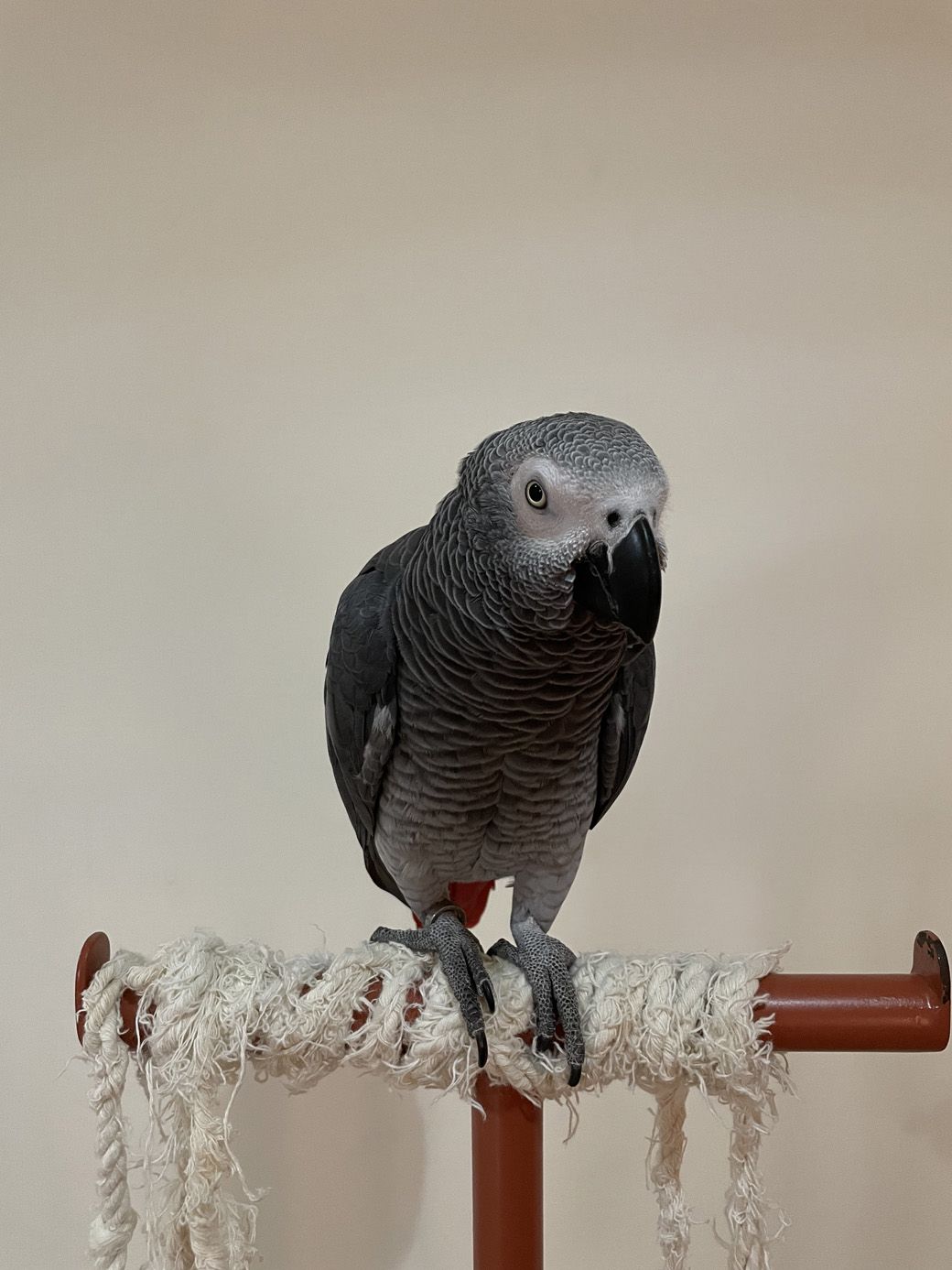 （写真提供：カマタさん）