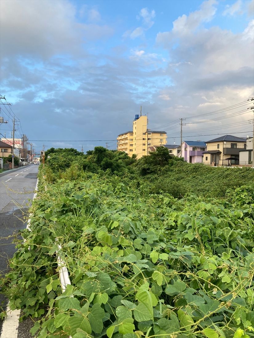 各地にある千原線の延伸用地（筆者撮影）