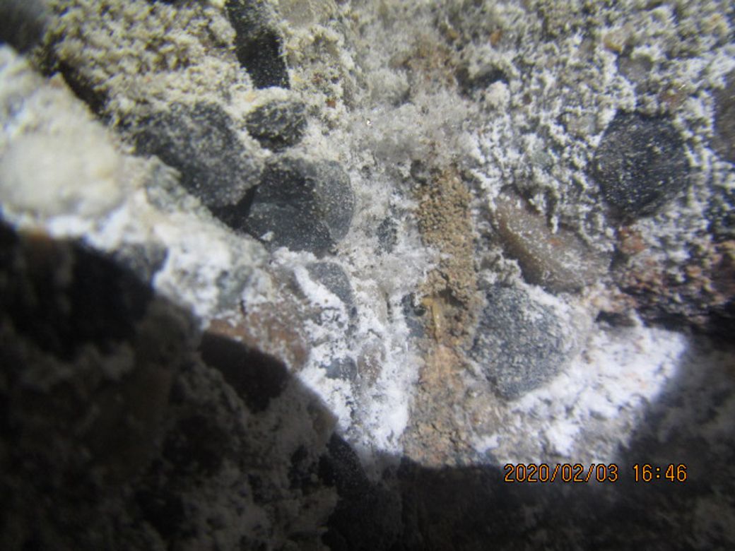 シロアリ被害による家屋倒壊