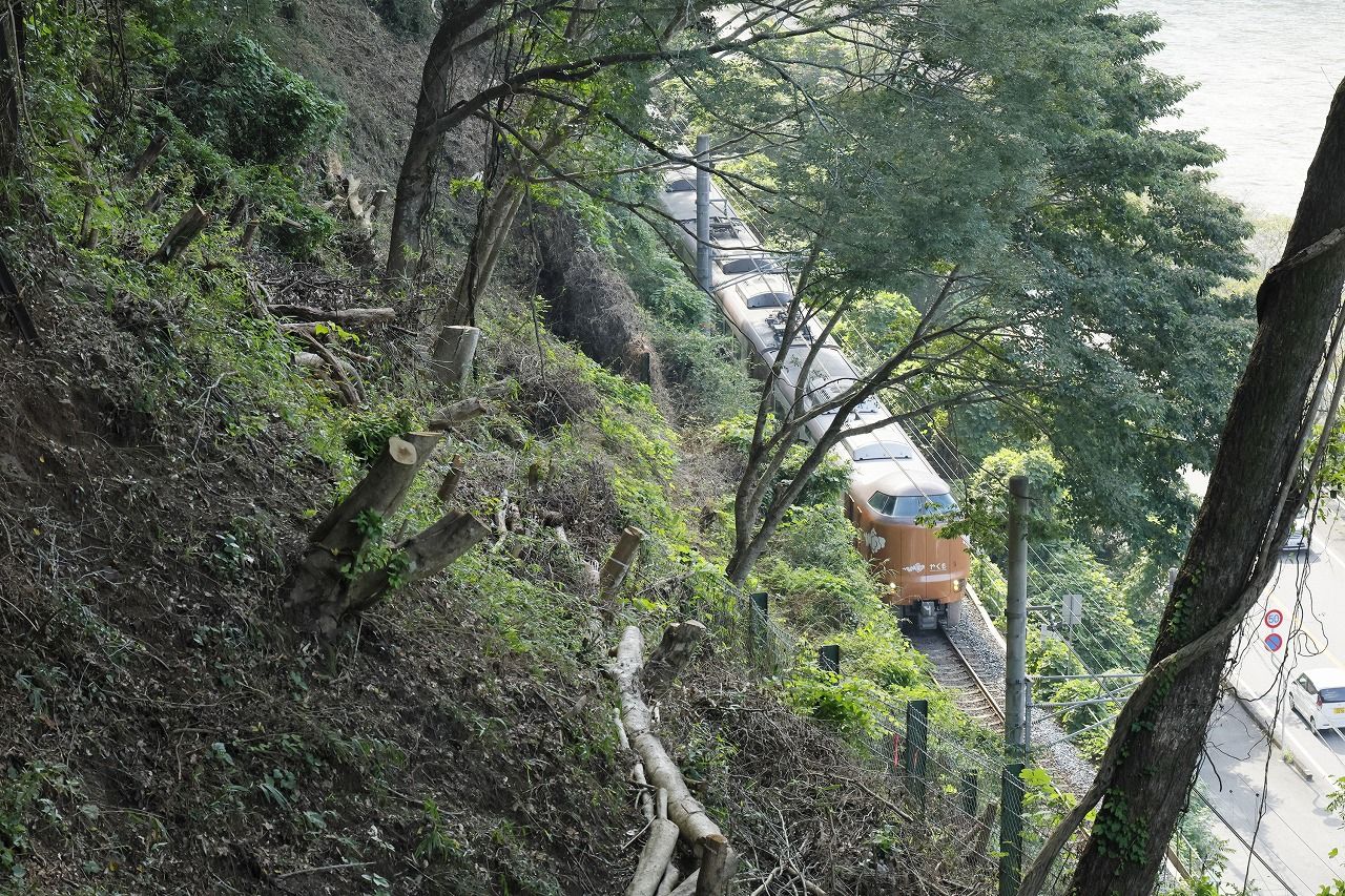 現場の下を特急「やくも」が通過。作業中止のリミットである通過3分前よりもさらに余裕を見て作業は中断する。左の斜面はすでに伐採が終わった箇所　（筆者撮影）