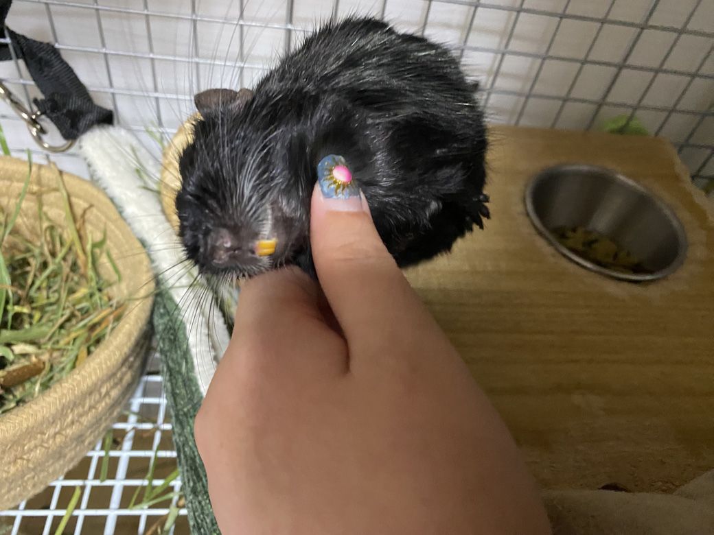 （写真：みきさん）