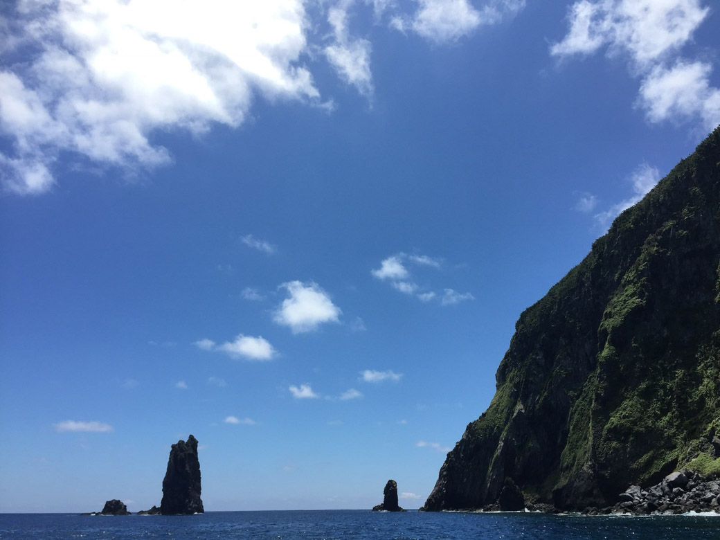 断崖絶壁がそびえる悪石島（画像提供：片野田隆紀）