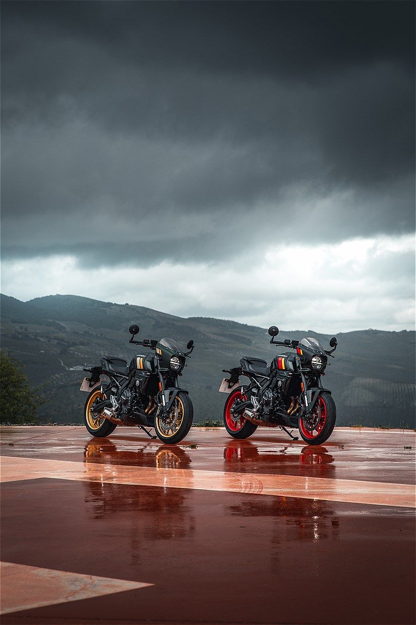 スズキの新型「GSX-8T/GSX-8TT」（写真：スズキ）