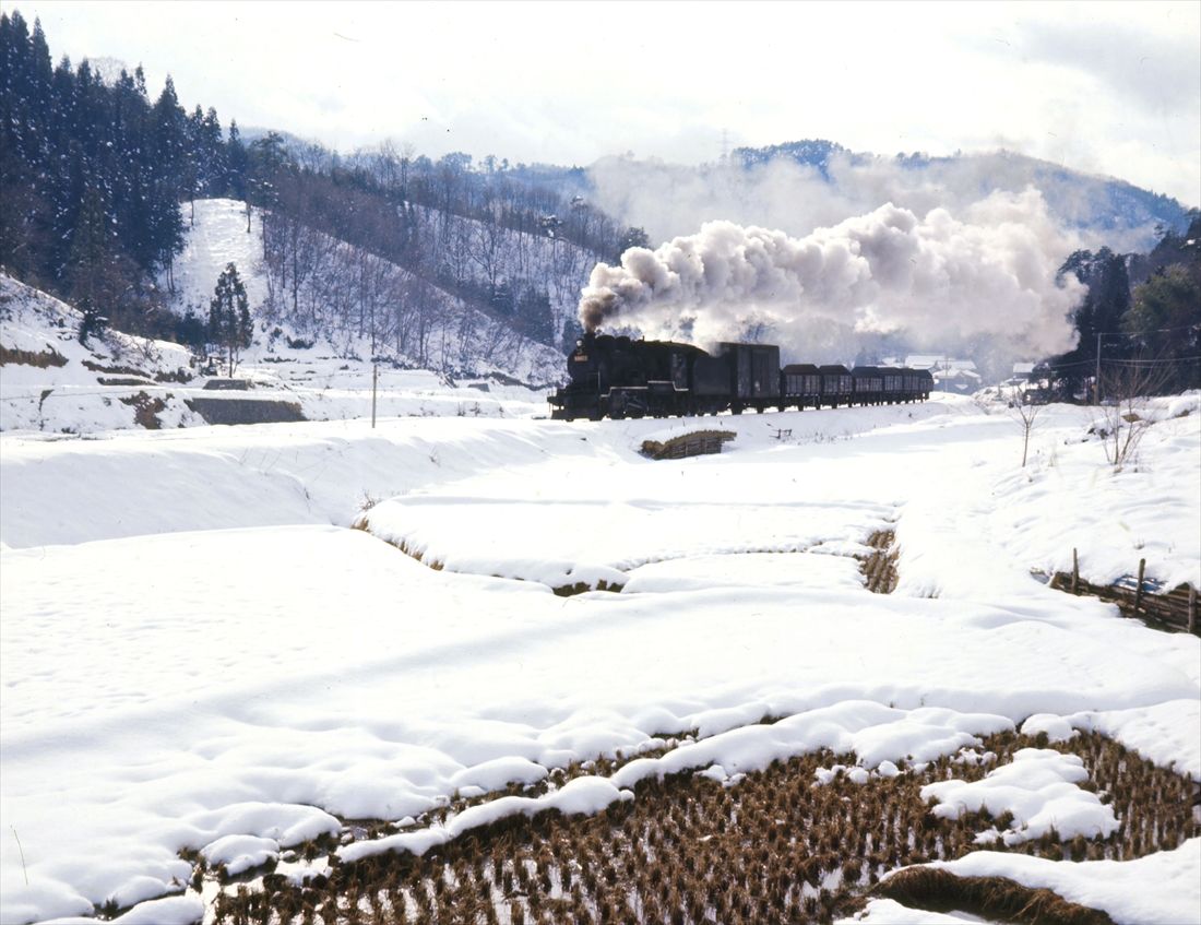 新雪の花山峠を走る越美北線の88623号機牽引貨物列車（撮影：南正時）