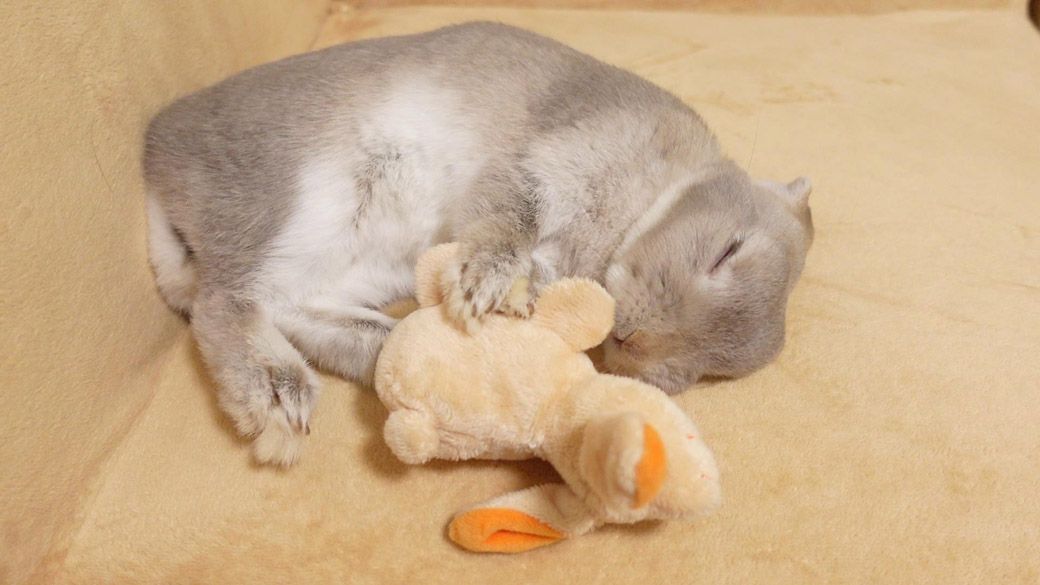 （写真：やすさん提供）