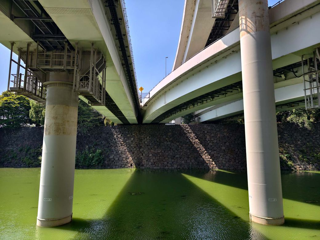 ビルの向かい側では、首都高が旧江戸城の石垣をダイナミックにまたいでいる（筆者撮影）