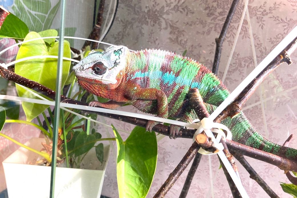 （写真：山村さん提供）