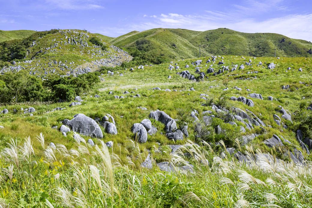 平尾台は、草原に白い石灰岩が羊の群れのように点在する「羊群原（ようぐんばる）」が特徴の絶景スポット（写真：TOSHI.K／PIXTA）