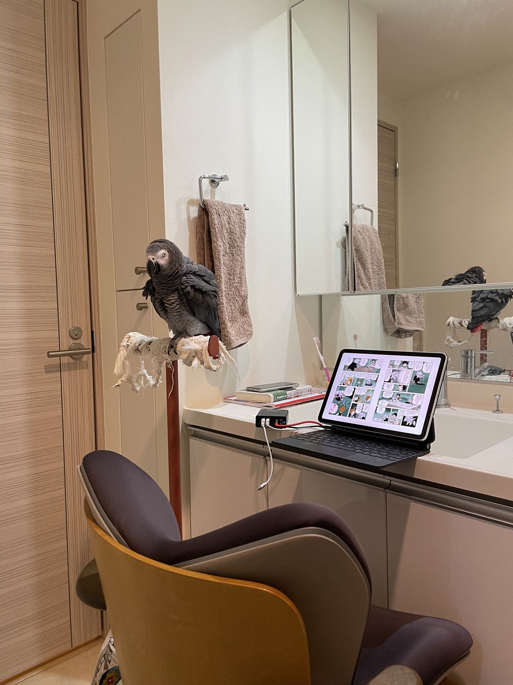 洗面所は、キクノスケくんお気に入りのスペースのひとつ（写真提供：カマタさん）