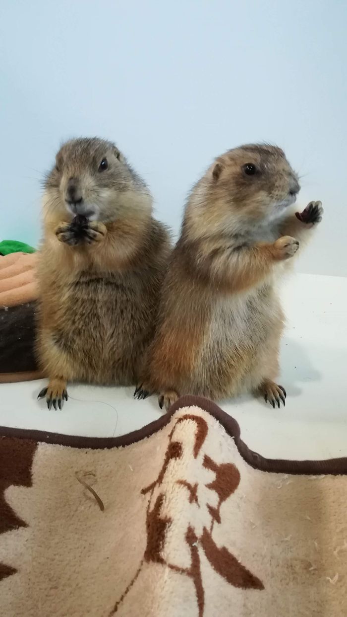 （写真：まる子さん提供）