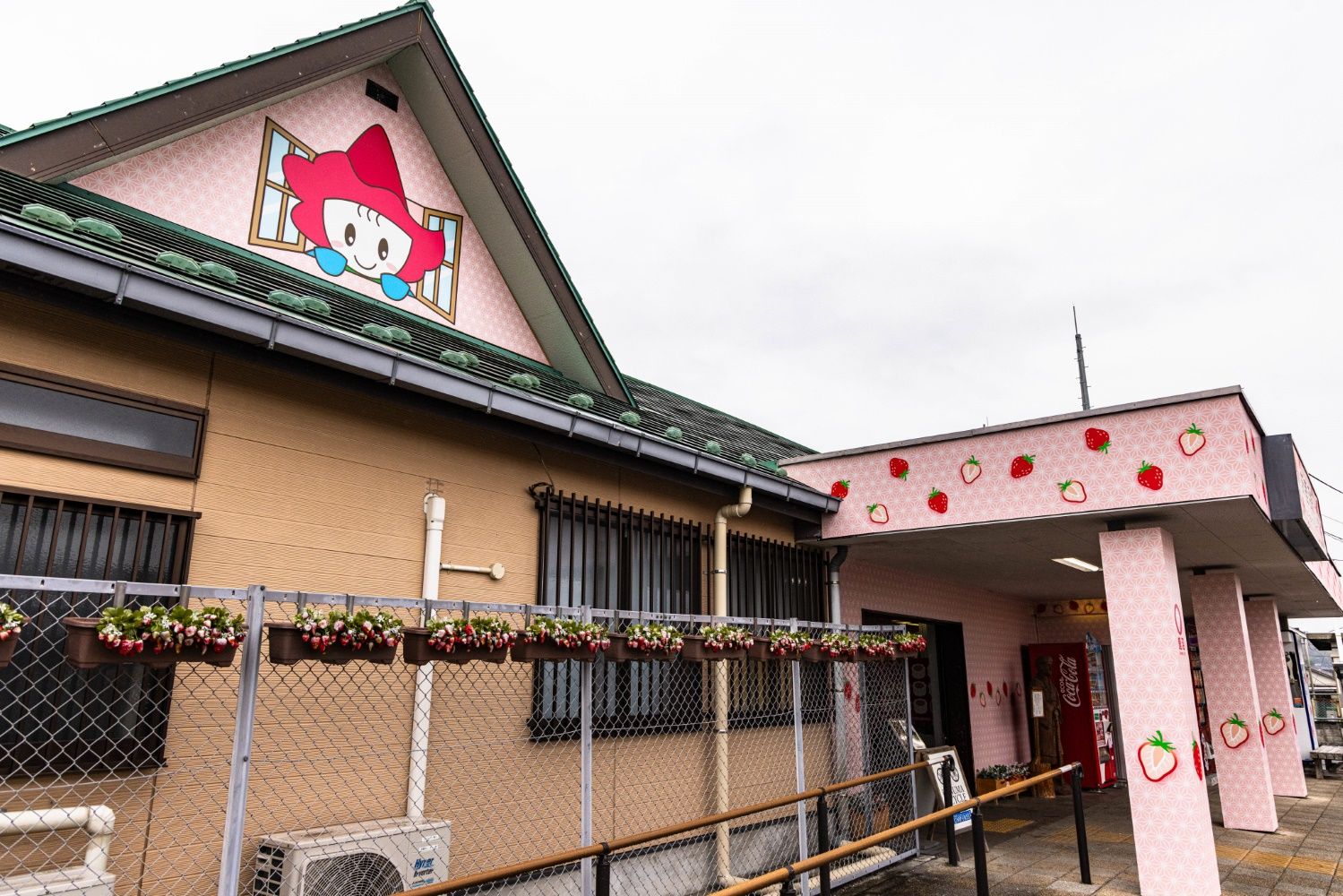 新鹿沼駅の外観はイチゴがメイン。妻に描かれているのは鹿沼市のキャラクター「ベリーちゃん」（撮影：鼠入昌史）