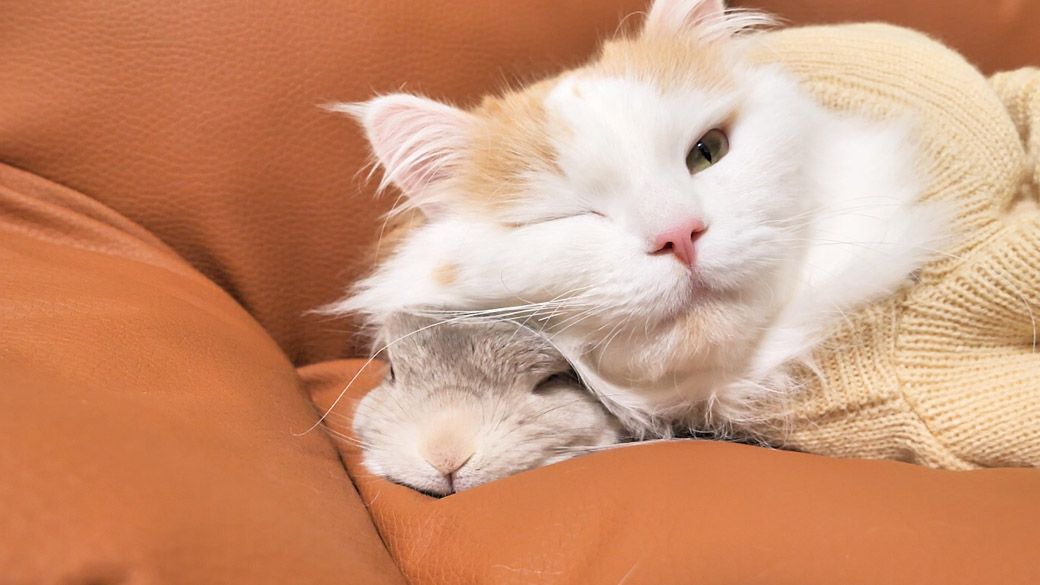 （写真：やすさん提供）