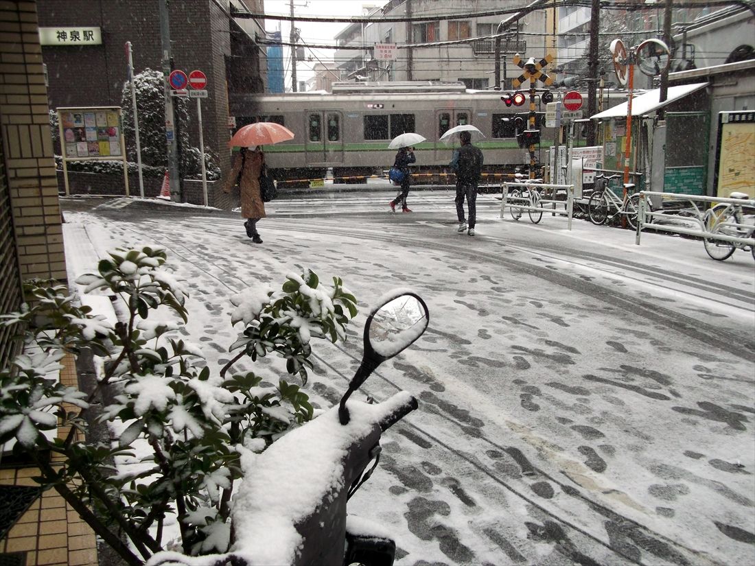 雪景色の神泉駅と踏切（撮影：南正時）