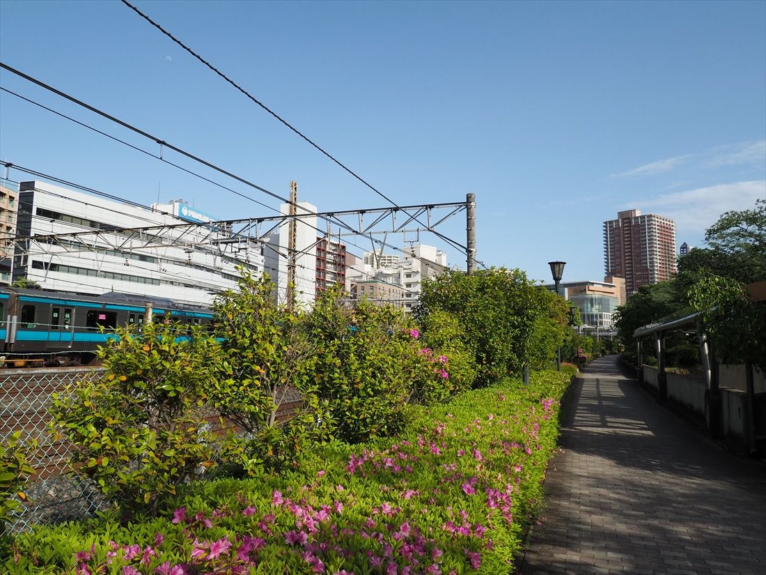 駅付近の線路西側には緑地や公園が広がる（記者撮影）