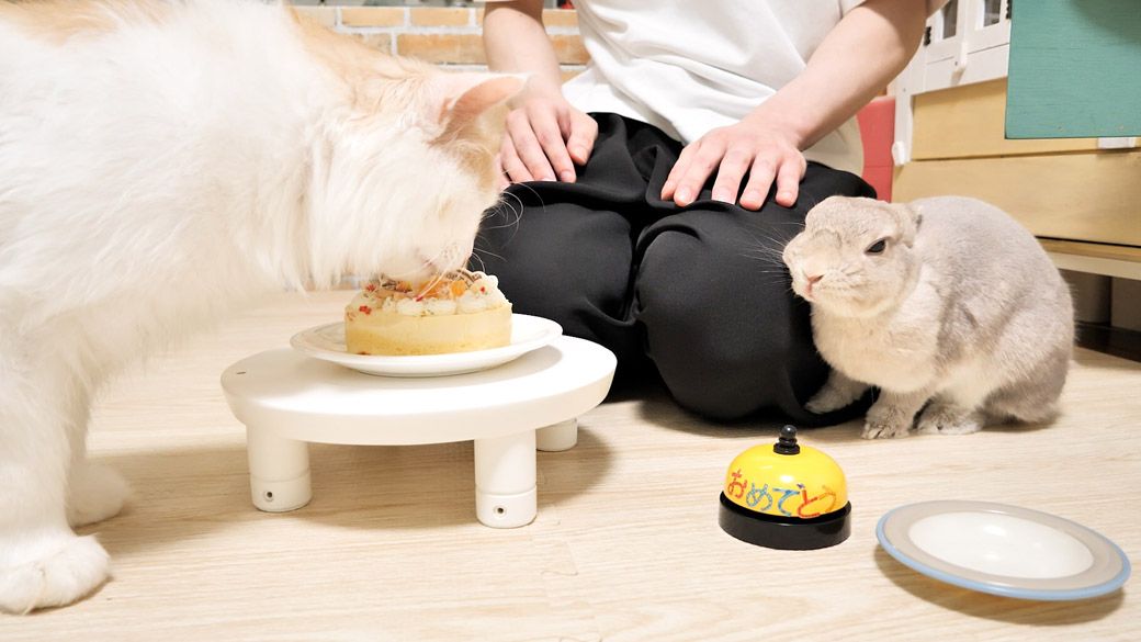 （写真：やすさん提供）