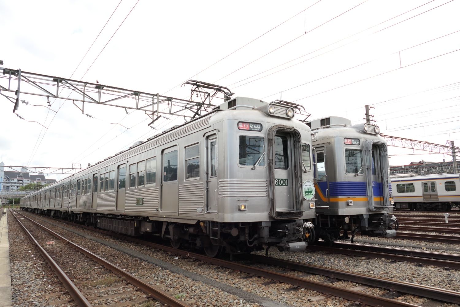 ステンレス無塗装復活デザインの6000系（左）と現行塗装の6000系（記者撮影）