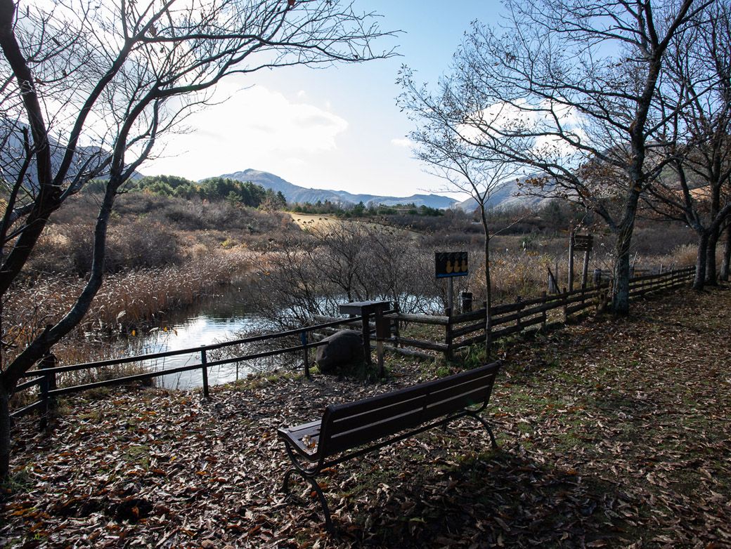 敷地内の様子。九重の大自然の中にあり、敷地内を散策しているだけで心癒される（筆者撮影）