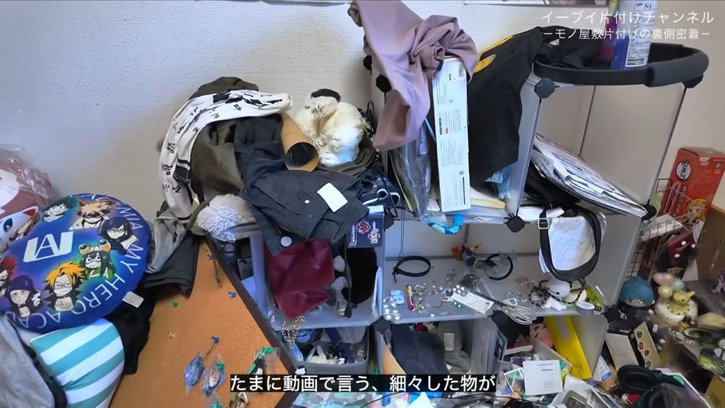 衣装やアクセサリーなどを手作りしていたようだ（画像：「イーブイ片付けチャンネル」より）