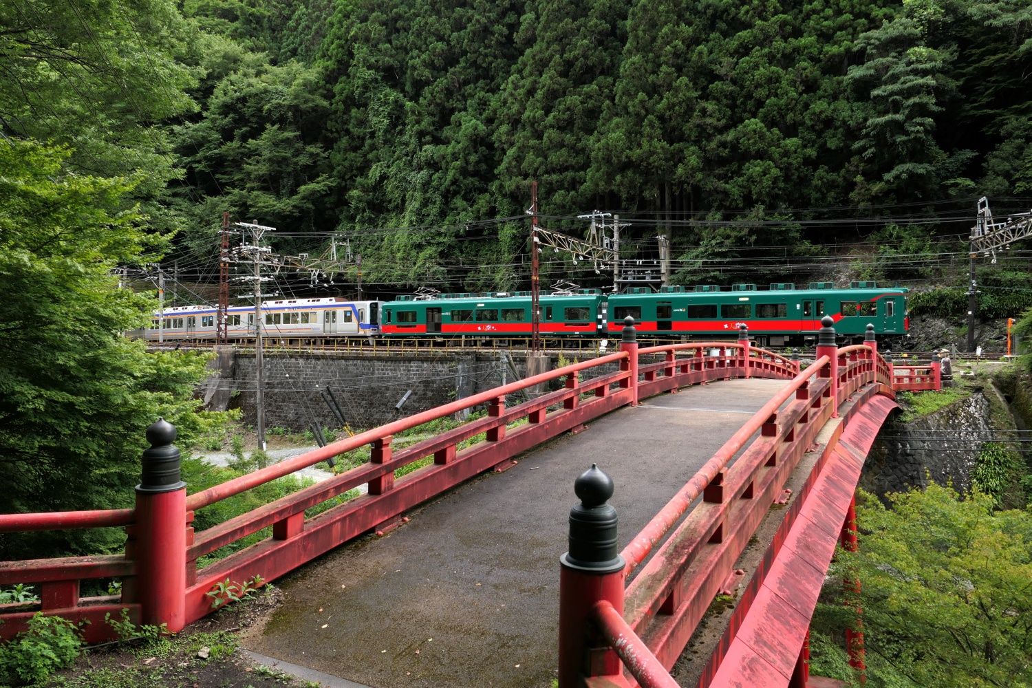 南海電鉄　観光列車「天空」