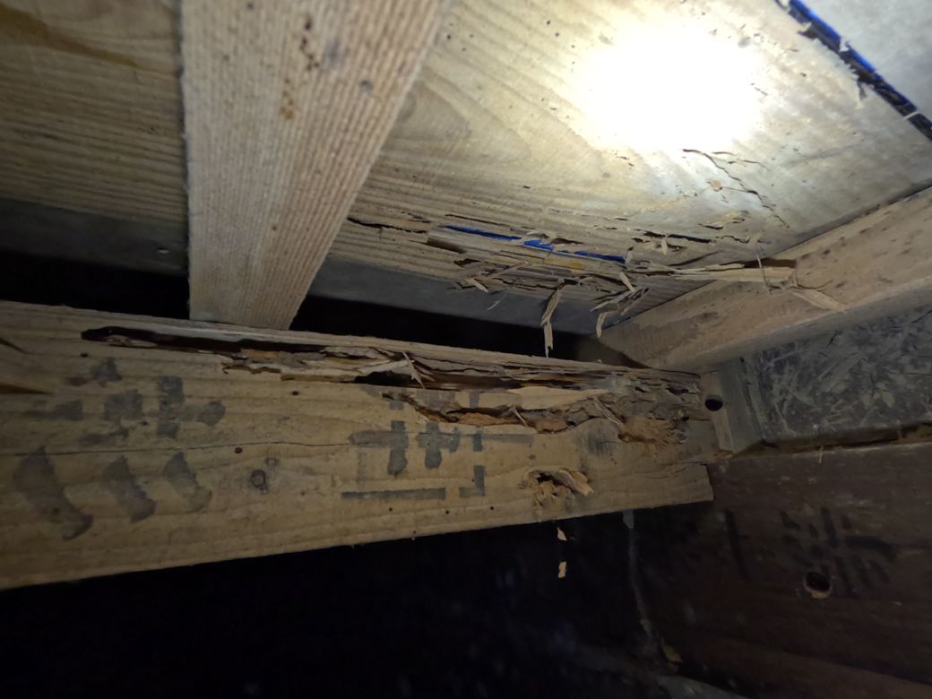 シロアリ被害による家屋倒壊