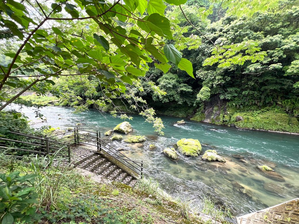 天降川の青い清流と木々の輝く緑に癒される（筆者撮影）