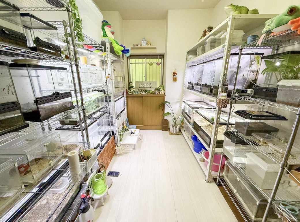 マイさんのカエル部屋。三段ラックに水槽が並ぶ（写真提供：ぴよさん）