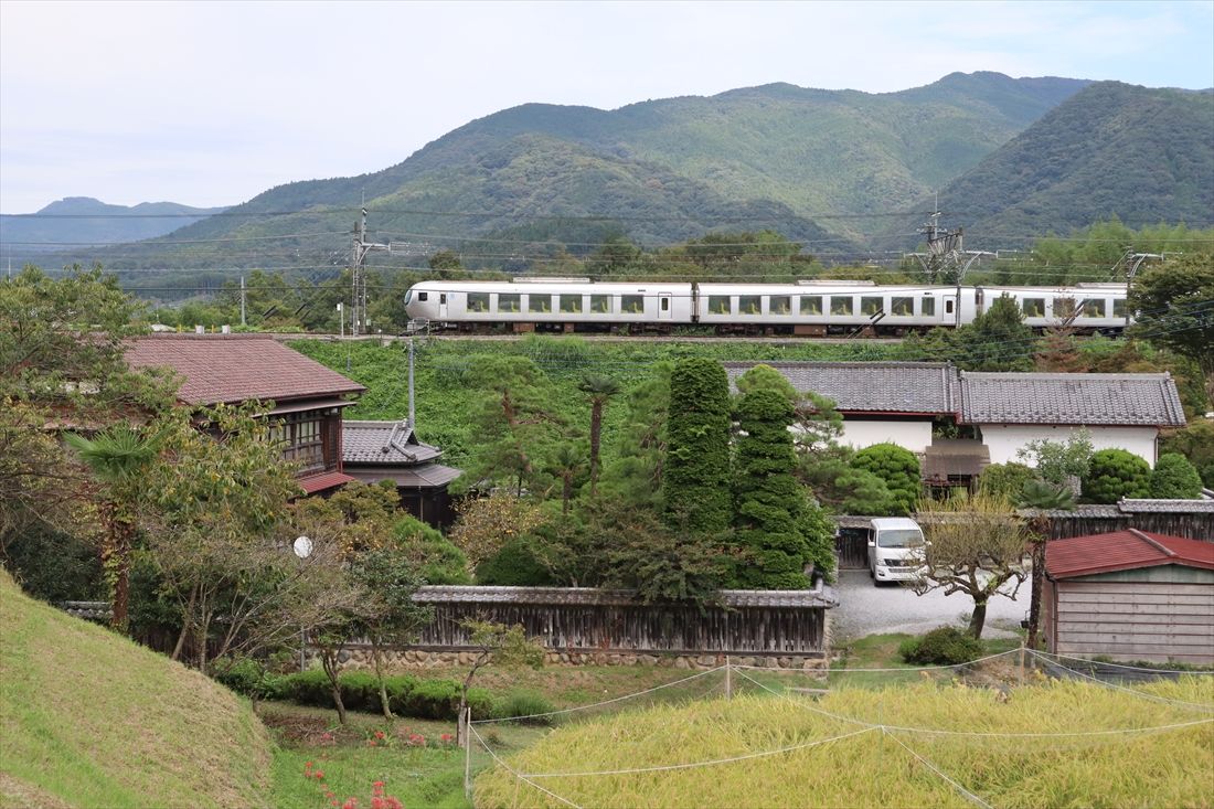 走る姿を側面から見ると窓の大きさがよくわかる（撮影：南正時）