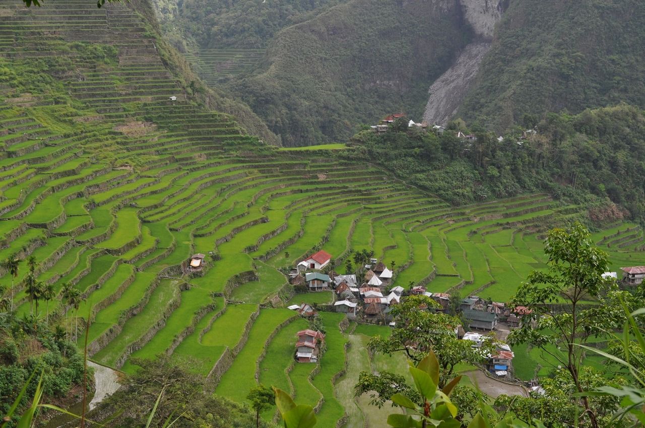 世界遺産のバダッド村のライステラス。山の裏側には大きな滝があり、観光名所となっている（写真：筆者提供）