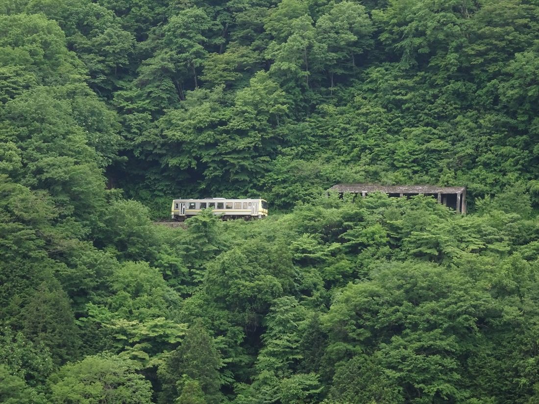 山深い中を走る木次線（撮影：南正時）