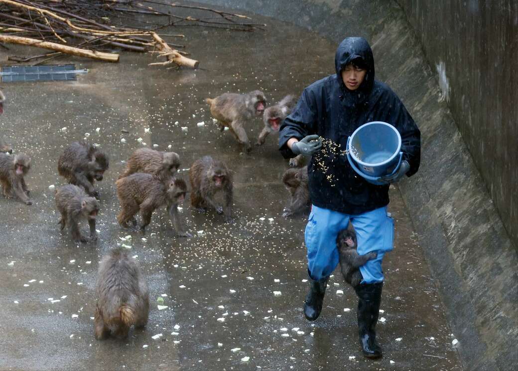市川市動植物園　パンチくん