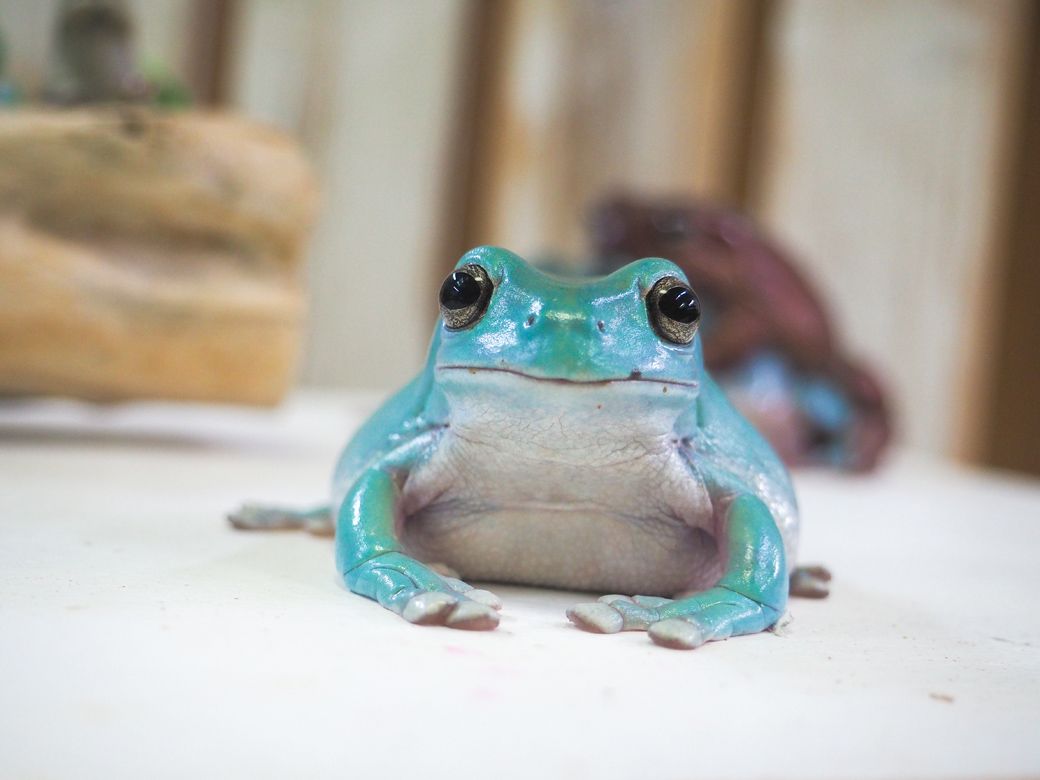 （写真提供：ぴよさん）