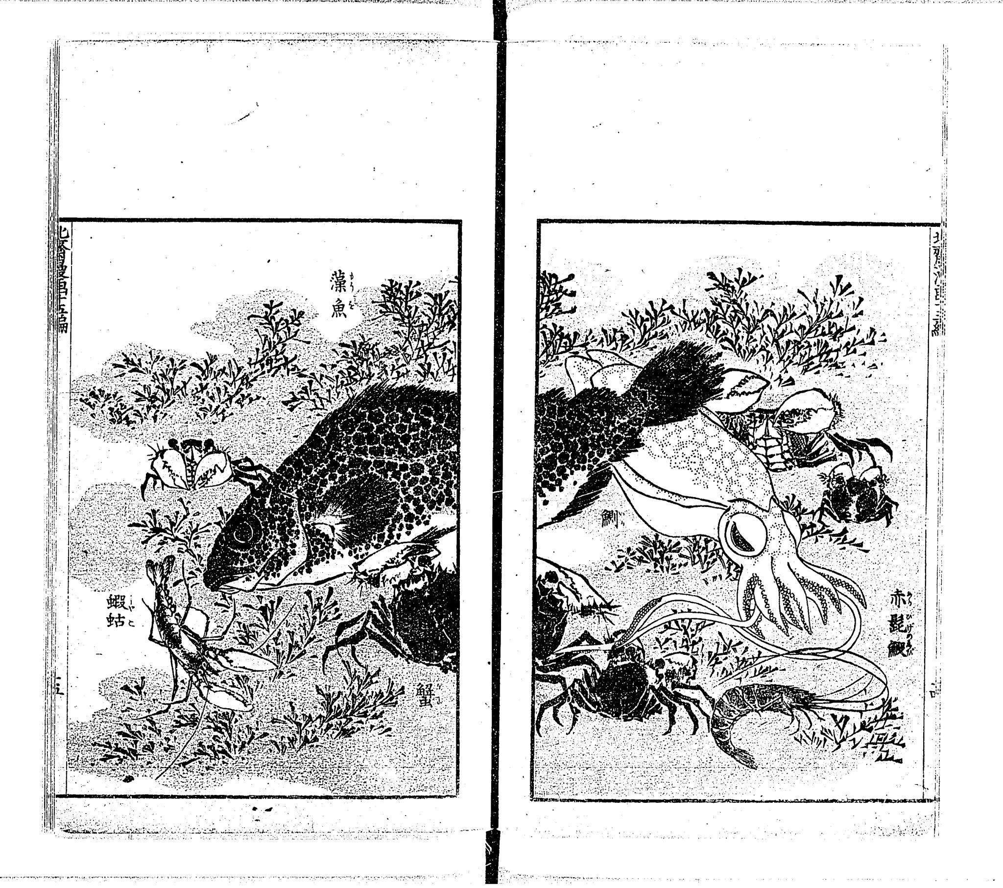 北斎漫画 15編、写実的な作品もある（画像：国立国会図書館デジタルコレクション）